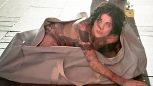 Blindspot Series Premiere