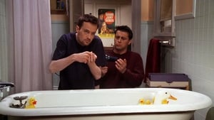 The One with a Chick and a Duck